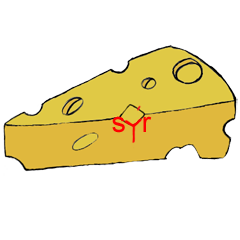 Vyjmenované slovo sýr