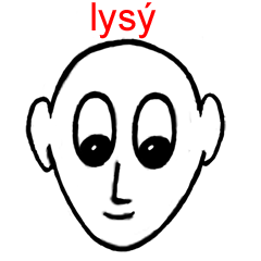 Vyjmenovan slovo lys