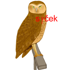 Vyjmenovan slovo sek