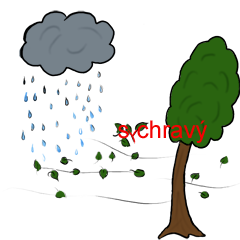 Vyjmenovan slovo sychrav