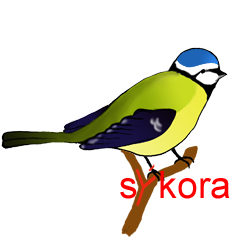 Vyjmenovan slovo skora