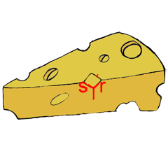 Vyjmenovan slovo sr